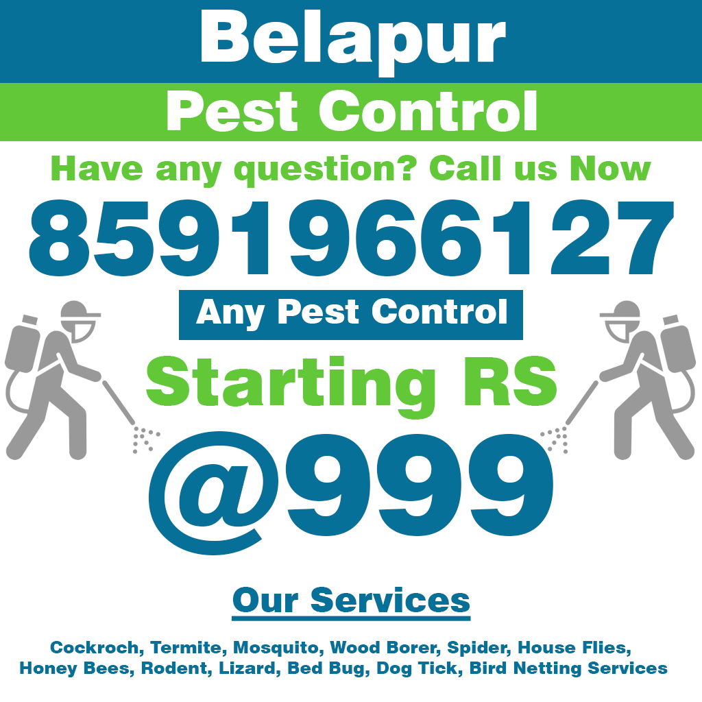 Belapur Pest Contro